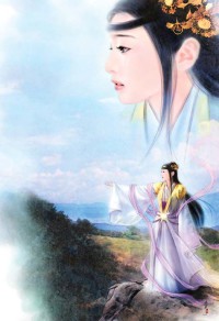白領合集